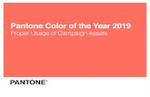 Pantone Color of the Year 2018 Pantone Color of the Year 2019€¦ · The Pantone Color of the Year 2019 logo lockup should only be used in three colors: knock out (white), black,