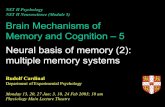 NST II Psychology NST II Neuroscience (Module 5) Brain … · 2003-11-13 · NST II Psychology NST II Neuroscience (Module 5) Brain Mechanisms of Memory and Cognition – 5 Neural