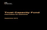 Trust Capacity Fund - gov.uk · 2019-11-04 · The Application Form 9 2.2. Submitting your application 10 2.3. Receipt of applications 10 ... Trust Capacity Fund Application ... Applications