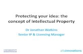 Protecting your idea: the concept of Intellectual Property ·