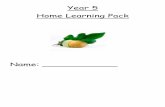Year 5 Home Learning Pack - gilberdykeprimary.co.uk › homelearning › G... · During a Caribbean ferry cruise your ship hit a storm and started to go down. In the distance, you
