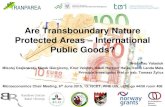 Are Transboundary Nature Protected Areas International ...tranparea.wne.uw.edu.pl/assets/files/Misc/Micro_Chair.pdf · Are Transboundary Nature Protected Areas – International Public