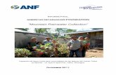 AMERICAN NICARAGUAN FOUNDATIONnuevasesperanzas.org/documents/03 Project reports... · Para las comunidades remotas de las laderas de los volcanes de Nicaragua el acceso al agua es