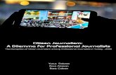 Citizen Journalism: A Dilemma for Professional …...The research report “The Perception of Citizen Journalism among Professional Journalists in Turkey 2018” is – the second