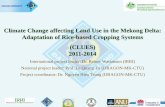 Climate Change affecting Land Use in the Mekong Delta ... · Climate Change affecting Land Use in the Mekong Delta: Adaptation of Rice-based Cropping Systems (CLUES) 2011-2014. International