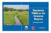 Bacteria TMDLs for Greens Bayou...2008/11/06  · Greens Bayou E. coli Longitudinal Profile Greens Bayou 1.0E+00 1.0E+01 1.0E+02 1.0E+03 1.0E+04 1.0E+05 1.0E+06 40 35 30 25 20 15 10