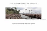 Loss of Biodiversity in indonesia€¦ · Web viewDeforestation because of Palm Oil (Indonesian Deforestation Moratorium) A Problem Solving Paper by Houston Zumwalt Author Home Created