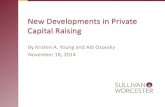 New Developments in Private Capital Raising › assets › htmldocuments › New...New Developments in Private Capital Raising By Kristen A. Young and Adi Osovsky November 18, 2014