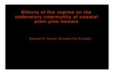 Effects of fire regime on the understory community …Effects of fire regime on the understory community of coastal plain pine forests Kenneth W. Outcalt Research Fire Ecologist Dormant-Season