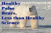 Healthy Polar Bears, Less than Healthy Science€¦ · Healthy Polar Bears, Less than Healthy Science Dr. Susan J. Crockford, Zoologist and Evolutionary Biologist . Adjunct Associate