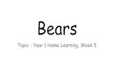 Bears · Polar Bears. Spectacled Bears. Panda bears. Brown bears Also called Grizzly Bears in North America! Black bears. We have learned about 5 bears but there are other bears too.