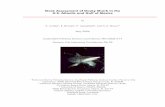 Stock assessment of dusky shark in the U.S. Atlantic and ... Shark...آ  Stock Assessment of Dusky Shark