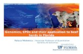 Genomics, EPDs and their application to beef herds …...Department of Animal Sciences Genomics, EPDs and their application to beef herds in Florida Raluca Mateescu | Associate Professor