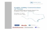 Public Utility Commission of Texas...Public Utility Commission of Texas Annual Statewide Portfolio Report for Program Year 2013 — Volume II October 6, 2014 Project Number 40891 .