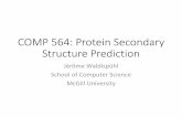 COMP 564: Protein Secondary Structure Prediction › ~jeromew › teaching › 564 › W... · Protein Secondary Structure Prediction Using Statistical Models • Sequences determine
