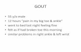 GOUT - JU Medicine › wp-content › uploads › sites › 7 › … · this is not an innocuous drug. it is not recommended for the treatment of asymptomatic hyperuricemia allopurinol
