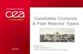 Candidate Coolants & Fast Reactor Types · Candidate Coolants & Fast Reactor Types Caloporteurs pour réacteurs à neutrons rapides – Paris, 19-20 février 2013 1 – Early Fast