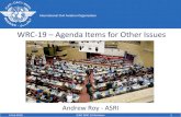 WRC-19 Agenda Items for Other Issues · 2018-02-07 · Agenda Item 1.7 - Commentary •WRC-19 studies will determine if existing SOS allocations are sufficient –If not, will consider