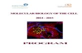 MOLECULAR BIOLOGY OF THE CELL COURSE...The Molecular Biology of the Cell course is an intensive laboratory and lecture course of five weeks divided into weekly modules, each focusing