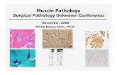 Muscle Pathologylibvolume7.xyz/physiotherapy/bsc/2ndyear/pathology/muscledisease… · Muscle Pathology Surgical Pathology Unknown Conference November, 2008 Philip Boyer, M.D., Ph.D.