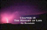 CHAPTER 19 THE HISTORY OF LIFE - Jaguar Biologyjaguarbiology.weebly.com › ... › chapter_19-_history_of_life_lecture.pdf · Paleontologists: scientists who study fossils Fossil