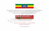 FEDERAL DEMOCRATIC REBUBLIC OF ETHIOPIA MINISTRY OF ... · implementation. The strategy identifies and thoroughly analyses key sectors that are directly or indirectly involved in