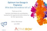 Optimum Iron Dosage in Pregnancy: What does the evidence ... · •Presentation sponsored by Active iron Solvotrin. Introduction •Iron: a Vital Micro-Nutrient ... •Iron is absorbed