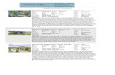 Residential Client Thumbnail€¦ · Prop Type: Single Family Residential Yr Blt: 2000 Type Dwell: Single Family - Bare Land Strata YB Dsc: Approximate Style/Story: Two Storey Taxes: