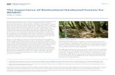 The Importance of Bottomland Hardwood Forests … › pdffiles › UW › UW31600.pdffruits, nuts, and flowers that serve as food for wildlife. The soil of bottomland forests is richer