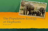 The Population Ecology of Elephants...Elephants One approach to conserving elephants is to re-introduce them to the wild. Evans et al. 2013 studied the release of captive male African