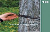 (Chapter Background Photo WDNR, Jeff Martin)dnr.wi.gov › topic › ForestManagement › ... › chapter10.pdf · Chapter 10 – Forest Management Planning 10-2 A forest management