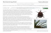 Screening Aid Palm Weevils - ITP | Homeidtools.org/screeningaids/2017/Rhynchophorus_spp.pdfScreening aid: Palm Weevils, Rhynchophorus spp. Identification Technology Program (ITP),