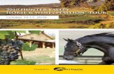 2019 HUNTER VALLEY HORSE & WINE “STALLION” TOUR€¦ · 2019 Hunter Valley Horse & Wine “Stallion” Tour. The Hunter Valley is home to the finest stallions and studs in the