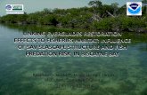 LINKING EVERGLADES RESTORATION EFFECTS TO ......LINKING EVERGLADES RESTORATION EFFECTS TO FISHERIES HABITAT: INFLUENCE OF SAV SEASCAPE STRUCTURE AND FISH PREDATION RISK IN BISCAYNE