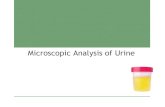 Microscopic Analysis of Urinekanpuruniversity.org/pdf/Microscopic-examination_070520.pdf · 2020-05-07 · Microscopic examination of urine Staining- Papanicolaou Stain Done by two