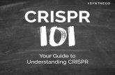 Your Guide to Understanding CRISPR...Under the direction of its corresponding gRNA, the Cas9 enzyme binds DNA at a specific genetic element (known as the protospacer adjacent motif,