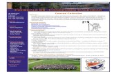 Course Calendariss.scdsb.on.ca › Documents › 17-18 Course Calendar April 10... · 2017-05-09 · Course Titles Grade 9 Grade 10 Grade 11 Grade 12 CANADIAN & WORLD STUDIES Analyzing