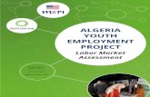 Okay, - World Learning › wp-content › uploads › ... · World Learning Labor Market Assessments Middle East Partnership Initiative (MEPI) Algeria Youth Employment Project (YEP)