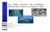 The SPAW Protocol: The Caribbean Biodiversity ... · Island Nations 1. Antigua & Barbuda 2. Bahamas 3. Barbados 4. Cuba 5. Dominica 6. Dominican Republic 7. Grenada 8. Haiti 9. Jamaica