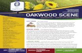 The Oakwood Scene August-September 2019 · 8/9 9/6 friday 8/16 9/13 thursday 8/15 9/12 wednesday 8/21 9/18 thursday 8/22 9/19 friday 8/23 9/20 thursday 8/29 9/26 friday 8/30 9/27