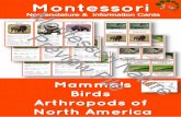 How To Use Montessori Nomenclature...How To Use Montessori Nomenclature 3 -Part Cards Montessori Three-Part Cards are designed for children to learn and process the information on