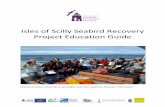 Isles of Scilly Seabird Recovery Project Education Guide › files › 4514 › 4681 › 2394 › Isles_of_Scilly... · Learn how to identify species of seabirds and other wildlife