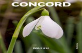 CONCORD...In the early 80s, macrobiotics suddenly achieved new popularity on account of a book called Re-called by Life, written by Dr. Anthony Sattilaro, president of a hospital in