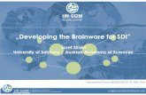 „Developing the Brainwarefor SDI” - UN-GGIMggim.un.org/meetings/GGIM-committee/8th-Session/side...Academic Network Workplan 2018 To achieve the Academic Network’s objectives,