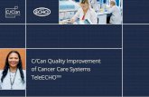 C/Can Quality Improvement of Cancer Care Systems TeleECHOTM · C/CAN QUALITY IMPROVEMENT OF CANCER CARE SYSTEMS TeleECHO TM: City Cancer Challenge 3 About Project ECHO Project ECHO