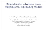 Biomolecular solvation: from molecular to continuum modelsBiomolecular solvation: from molecular to continuum models Jason Wagoner, Feng Dong, Nathan Baker ... Dept. of Biochemistry