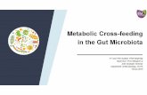 Metabolic Cross-feeding in Gut Microbiota-Joint graduate ...€¦ · 1. What is cross-feeding in bacteria? 2. Classification of cross-feeding. 3. Molecular mechanism: three examples.