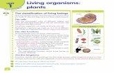 Living organisms: plants - BlinkLearning · UNIT 1 Living organisms: plants 6 CD Track 1 membrane cytoplasm nucleus A cell The ˜ ve kingdoms Scientists classify all living beings