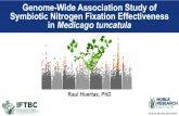 Genome-Wide Association Study of Symbiotic Nitrogen ... · Genome-Wide Association Study of Symbiotic Nitrogen Fixation Effectiveness in Medicago tuncatula Raul Huertas, PhD. Humans