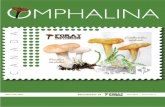 OMPHALINA - nlmushrooms.ca › omphaline › Omphalina-X-4.pdf · while Czechkovslovakia issued a five-stamp group created by Karel Svolinský and engraved by Ladislav Jurka (Fig.